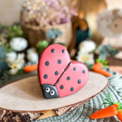 Biedronka ciasteczko dla konia